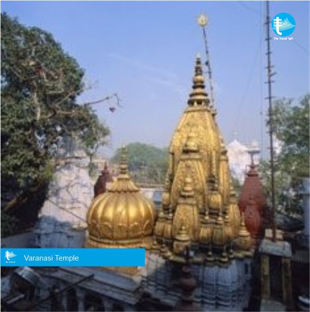 Visit
