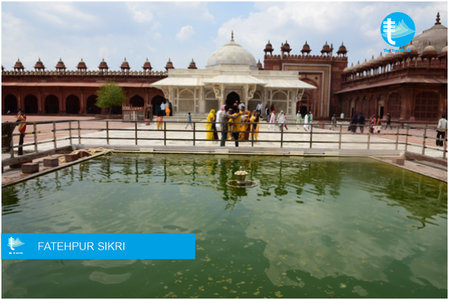 Visit