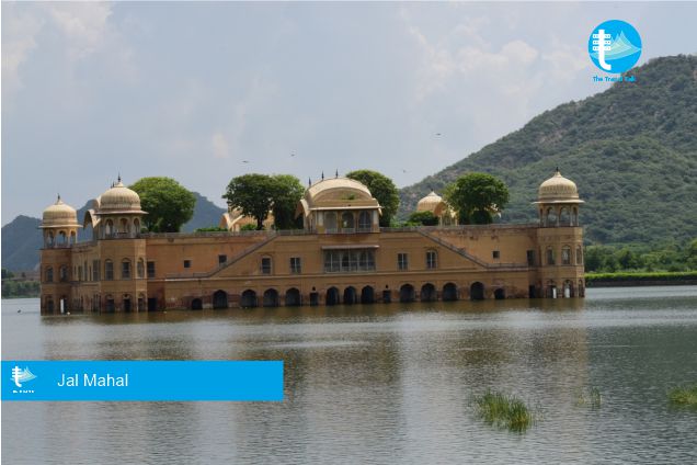 Visit