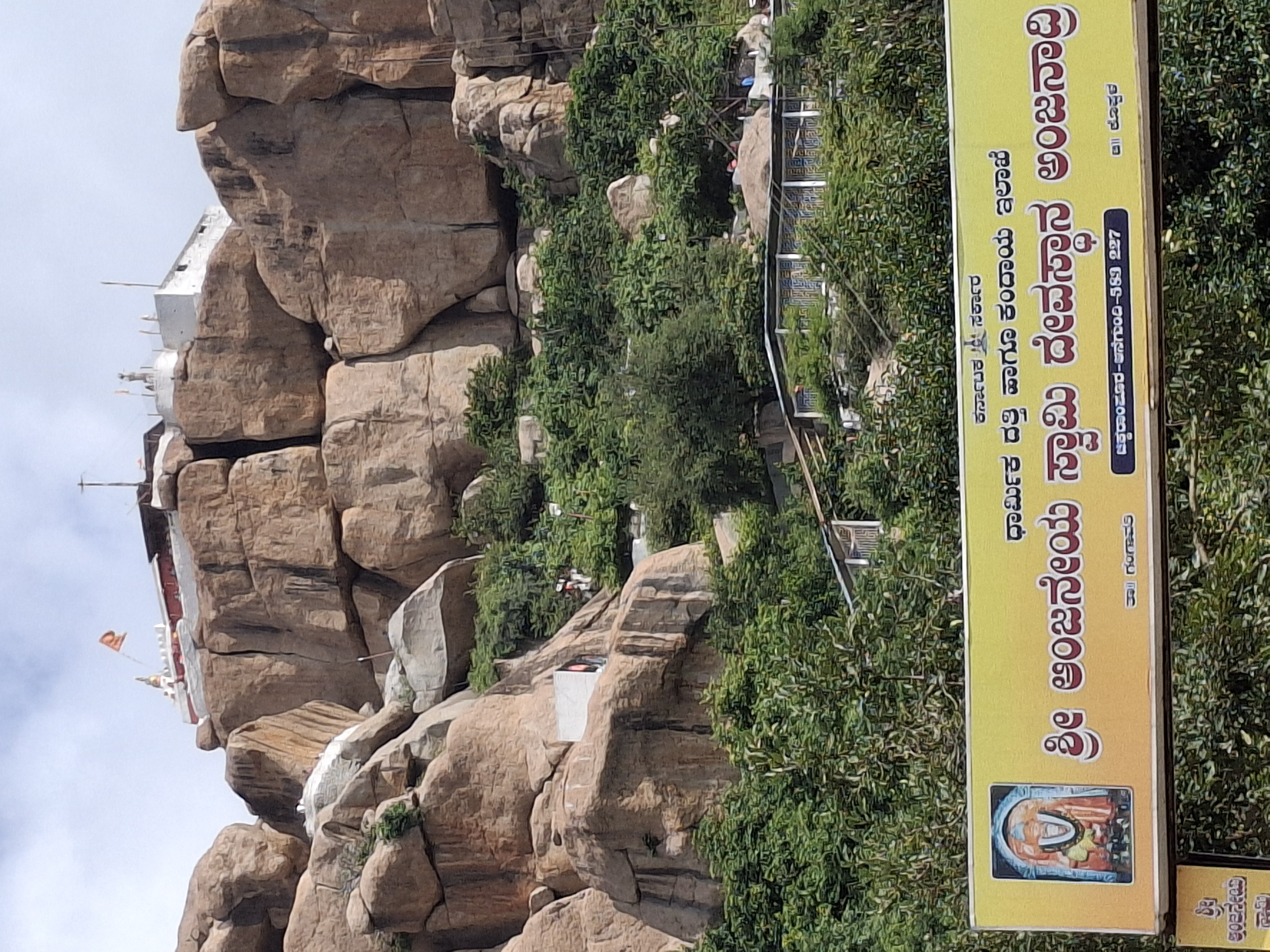 Visit